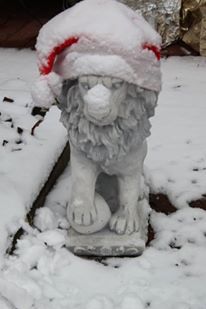 Weihnachtslöwe-jpg.jpg
