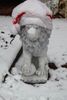 Weihnachtslöwe-jpg.jpg