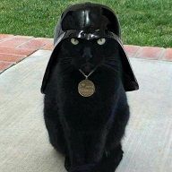 CatVader.jpg
