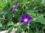 2013_03102012_10061.JPG