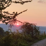 Theo-Odenwald