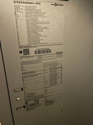 IMG_3874.jpeg