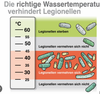 VliesMann1_0-1703760690528.png