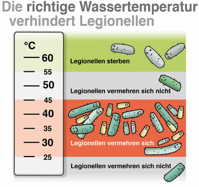 VliesMann1_0-1708001829470.png