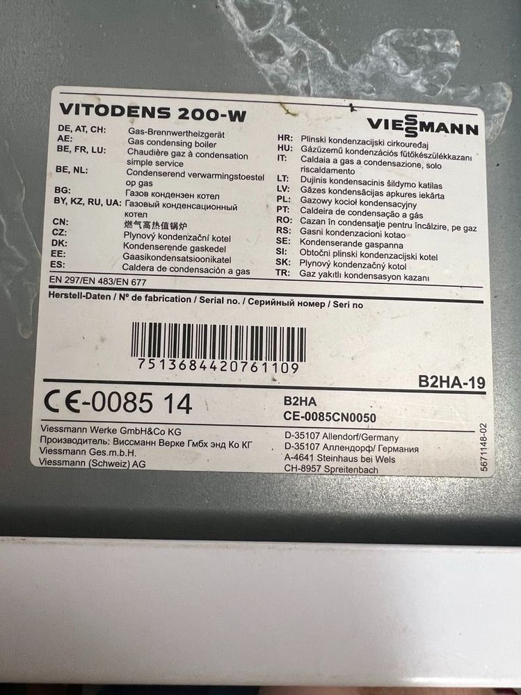 Groß (IMG_1224).jpeg