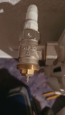 20240920_201103.jpg