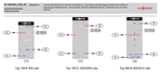 2025-03-01 10_03_50-4804963_2308_06.pdf – Google Chrome.png