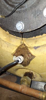 20250228_163125.jpg 20250228_163125.jpg