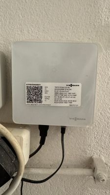 IMG_1925.jpeg