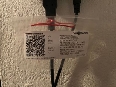 IMG_7218.jpeg