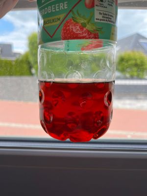 IMG_7270.jpg