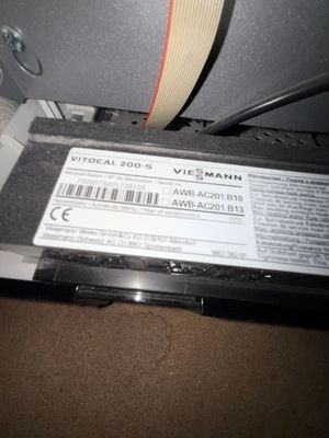 IMG_0067.jpeg