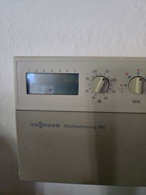 1000023145.jpg
