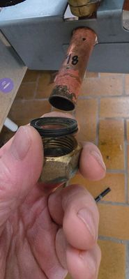 01 Dichtung Vorlauf Vitodens300.jpg