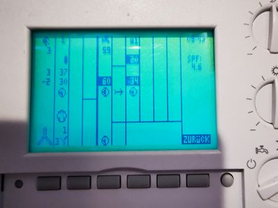 IMG_20201228_091347.jpg