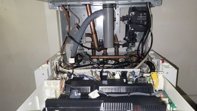 VITODENS Innenleben.jpg