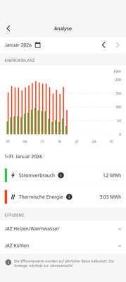 Gesamtverbrauch_Januar.png