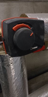 IMG_20260124_144254.jpg