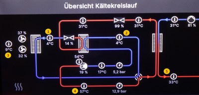 SteffenRiedel_0-1770547868186.png