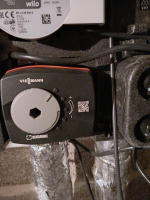 1000173533.jpg