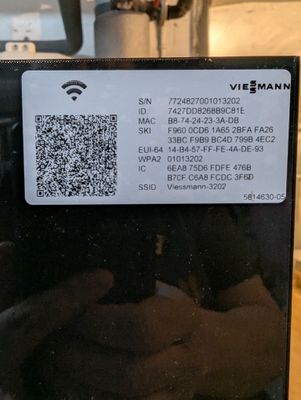 1000052762.jpg