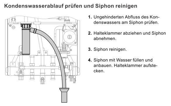 Clipboard_04-08-2026_01.jpg