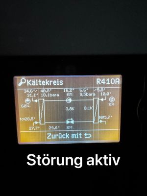IMG_1383.jpeg