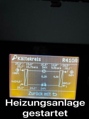 IMG_1386.jpeg