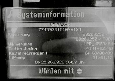 IMG_4617.jpeg
