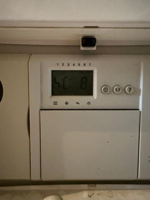 IMG_9081.jpeg