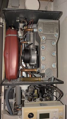 ebaf267f-f2ac-45e0-8913-eca423f6b85f.jpg