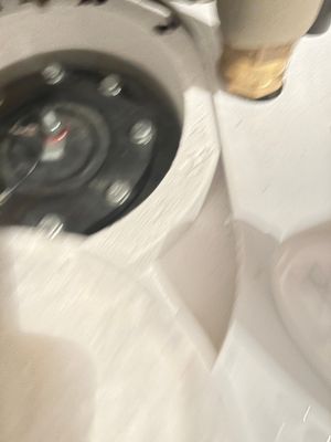 IMG_8553.jpeg