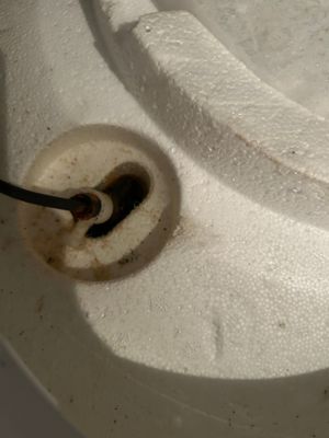 IMG_8550.jpeg