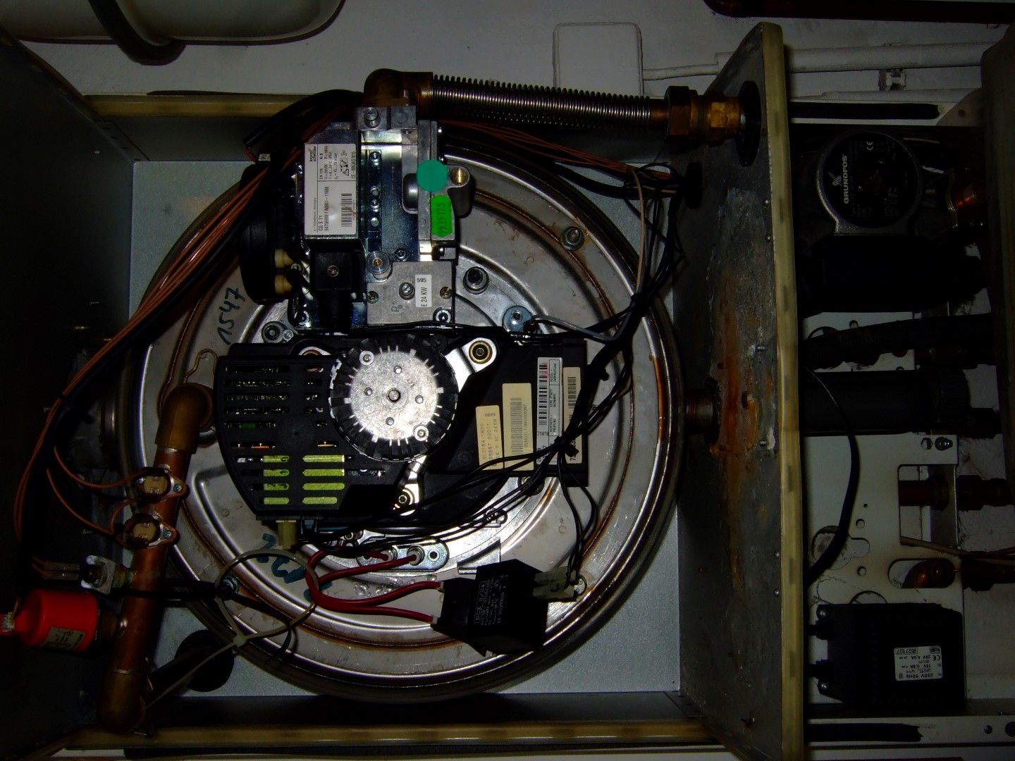 DSCF6194 (Large).JPG