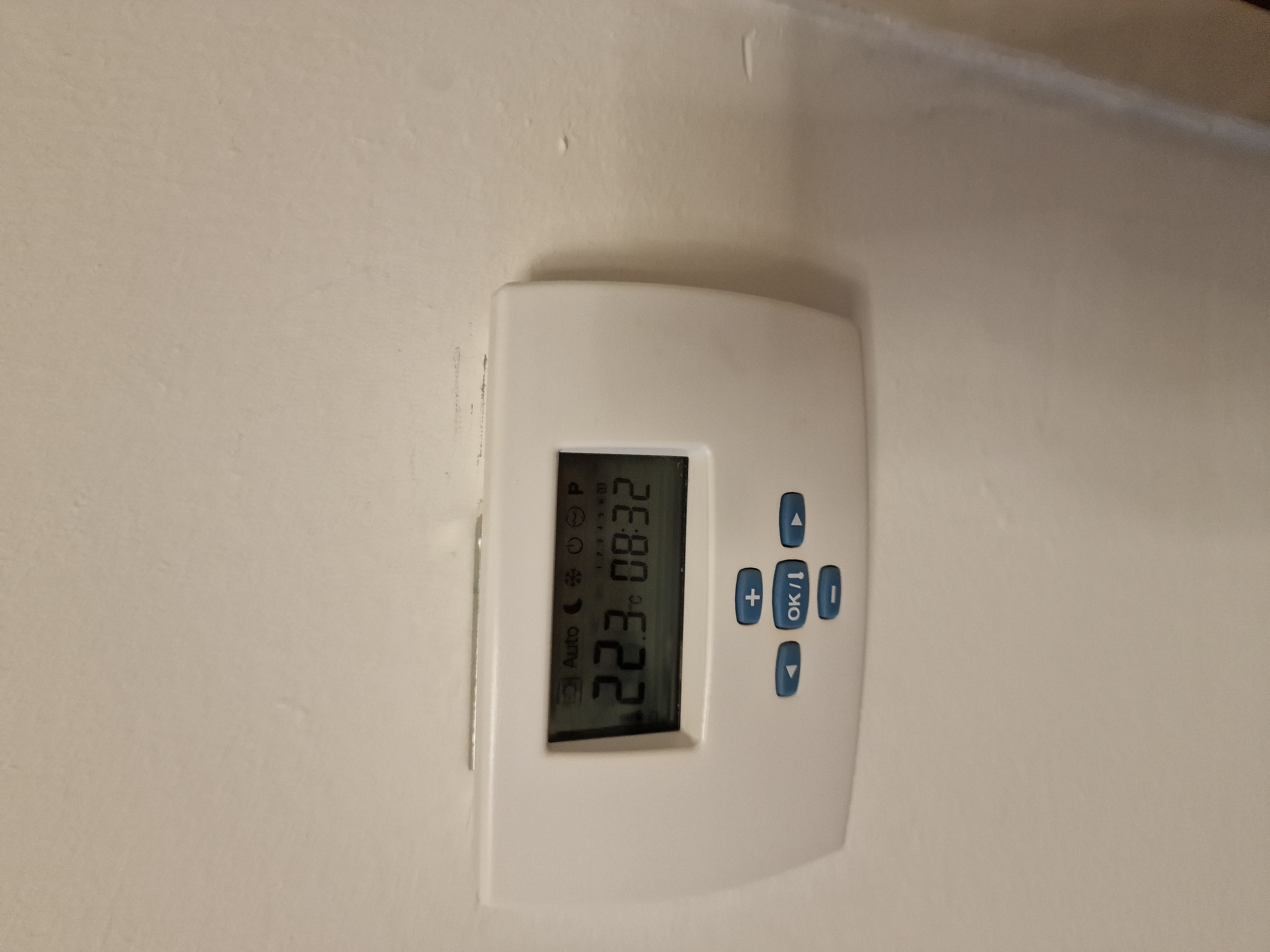 20230925_083222.jpg