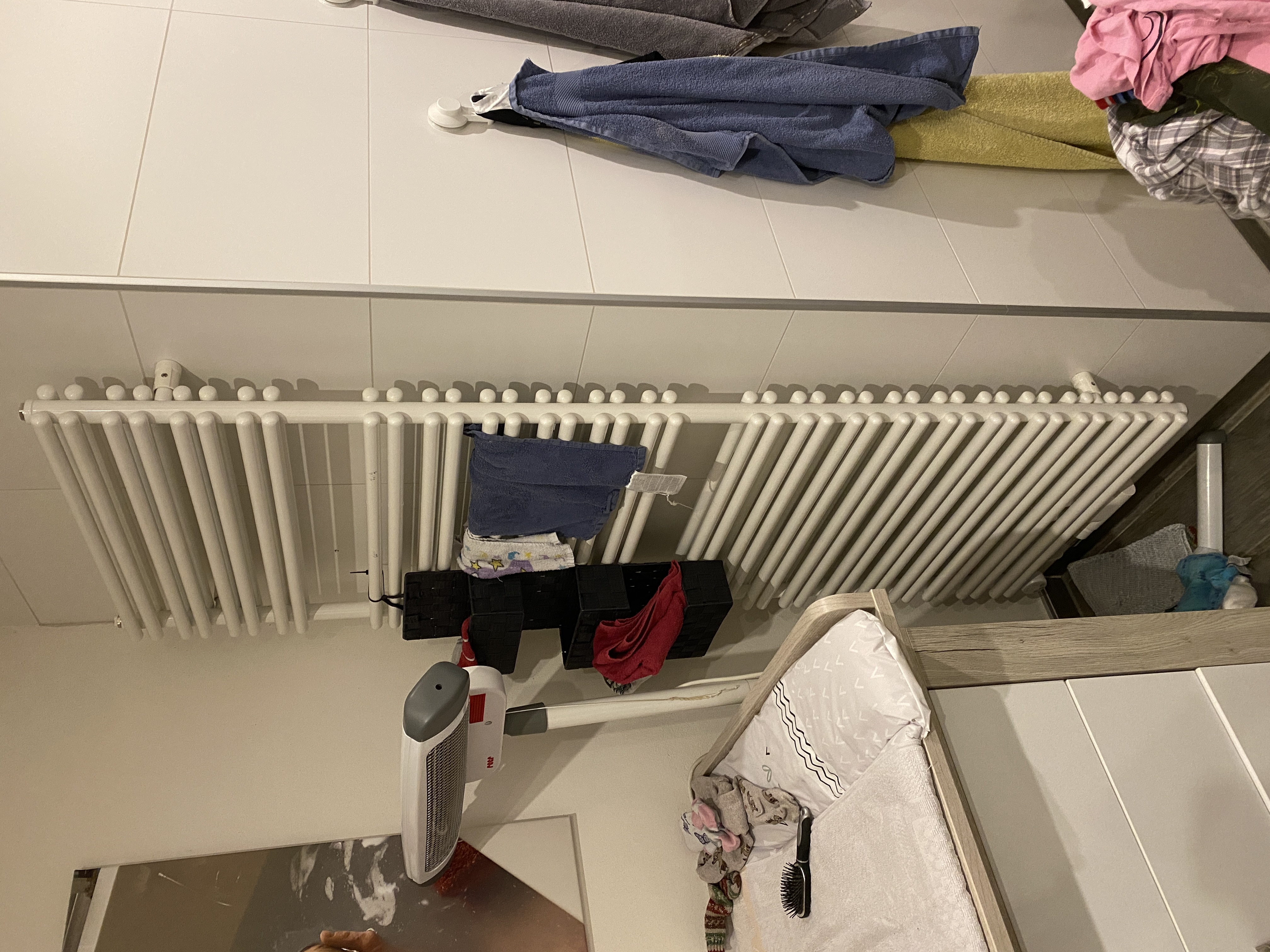 IMG_5464.jpeg