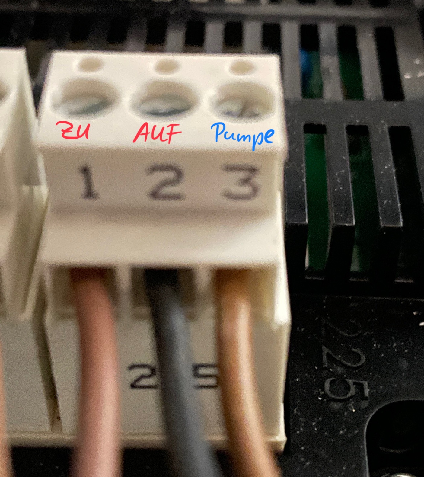 Stecker.JPG