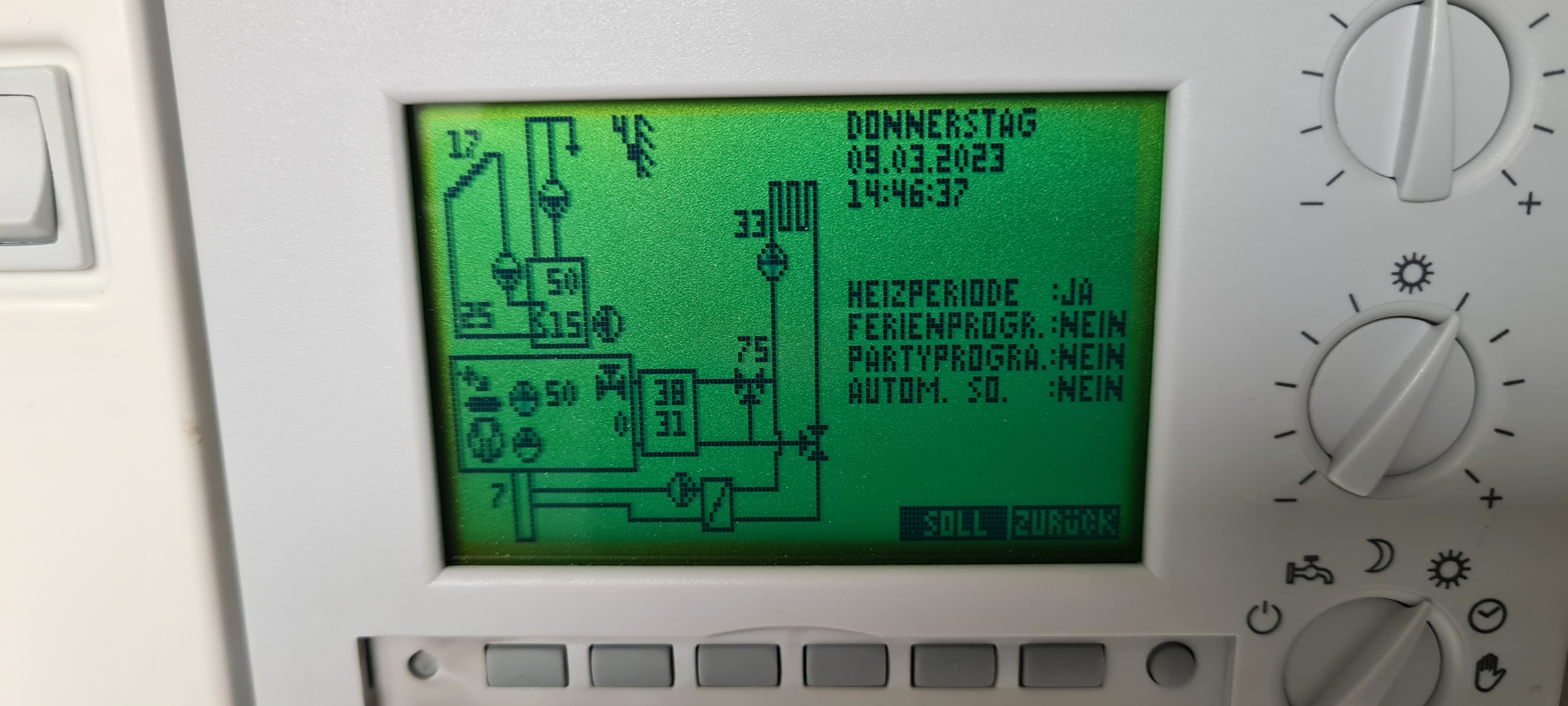 20230309_144607.jpg