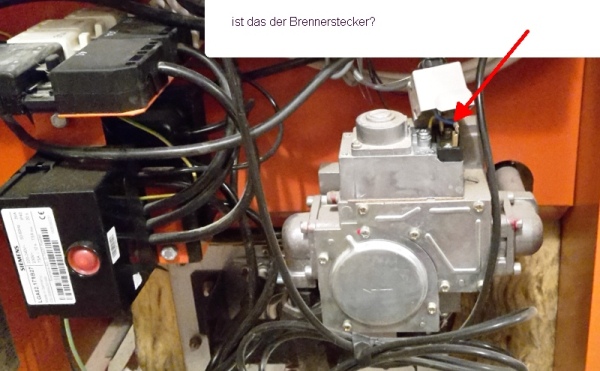 Brenner-Stecker.jpg