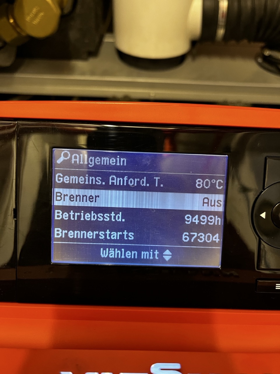 Groß (IMG_9258).jpeg