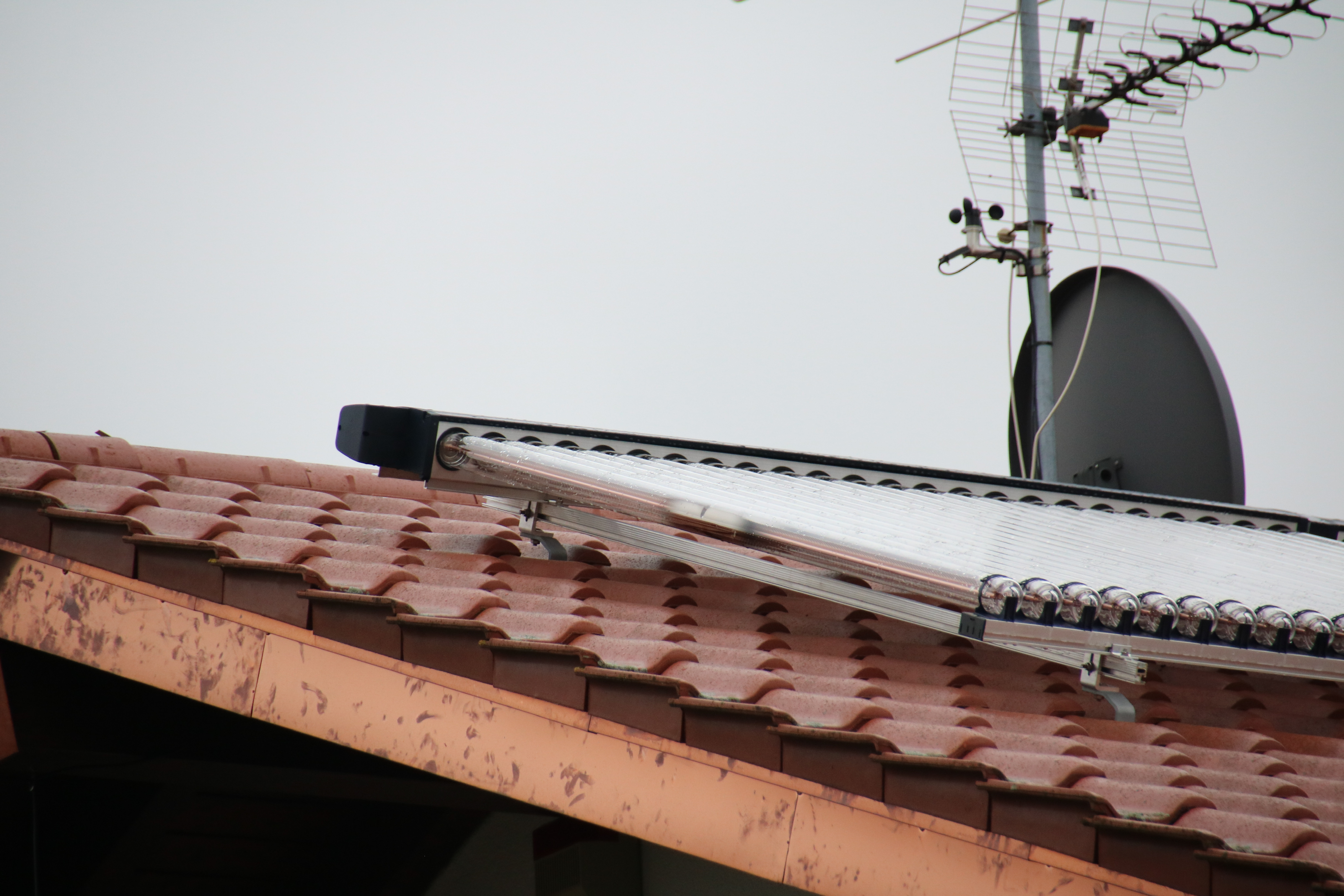 0714AFCF-595E-4CBB-841E-90ECA57C8744.jpeg