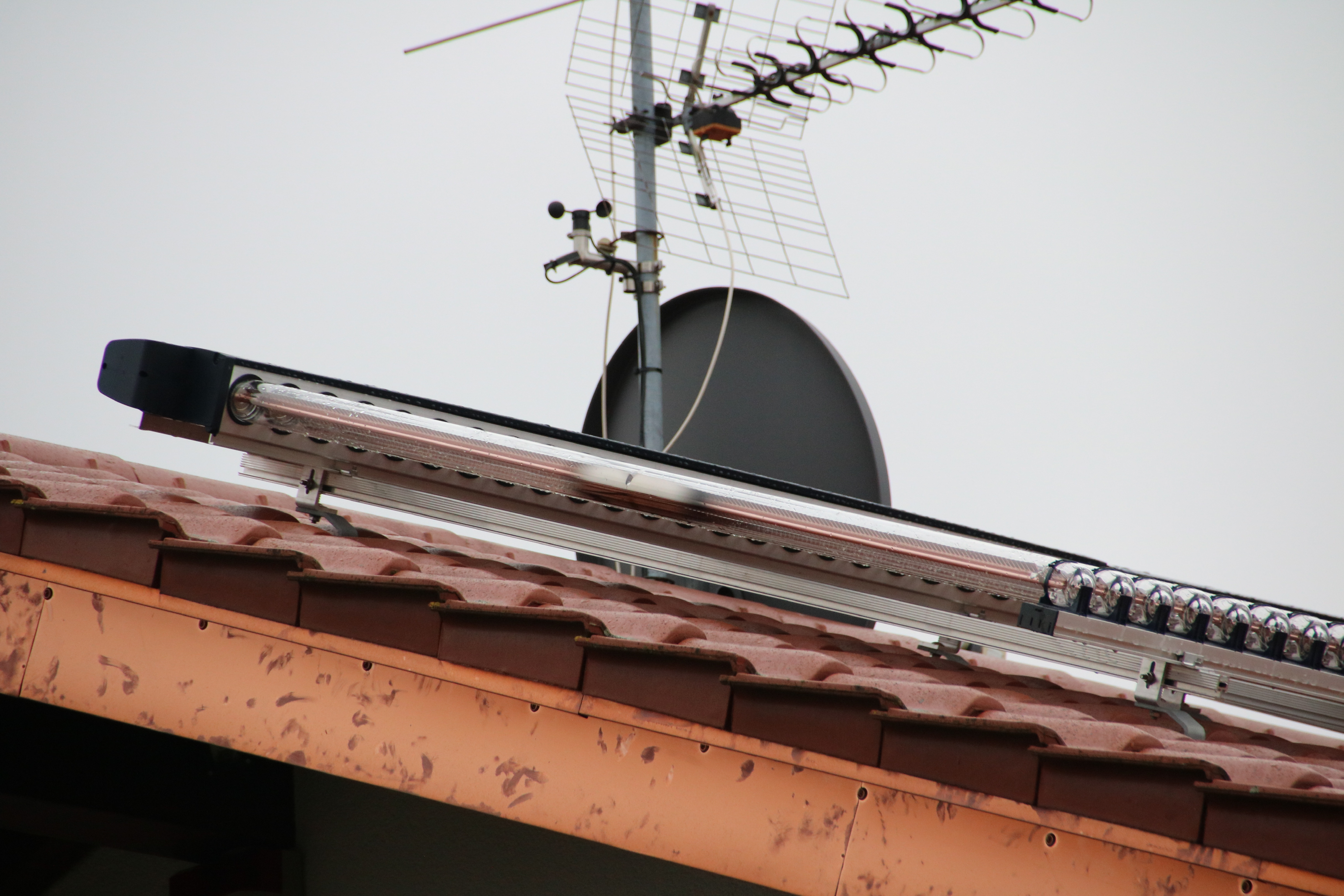 8149ACD0-0A45-42CF-B463-CB091A5CDC21.jpeg